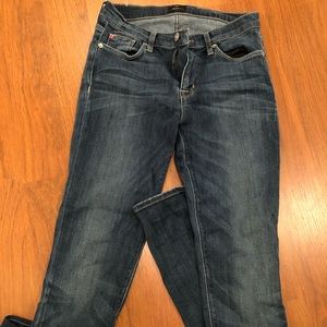 Hudson jeans shine midrise skinny